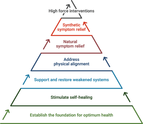 Naturopathic Therapeutic Order