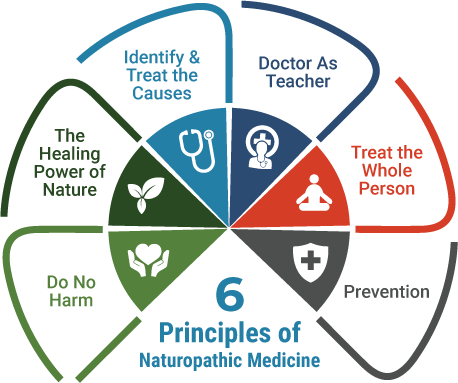 Six Principles of Naturopathic Medicine