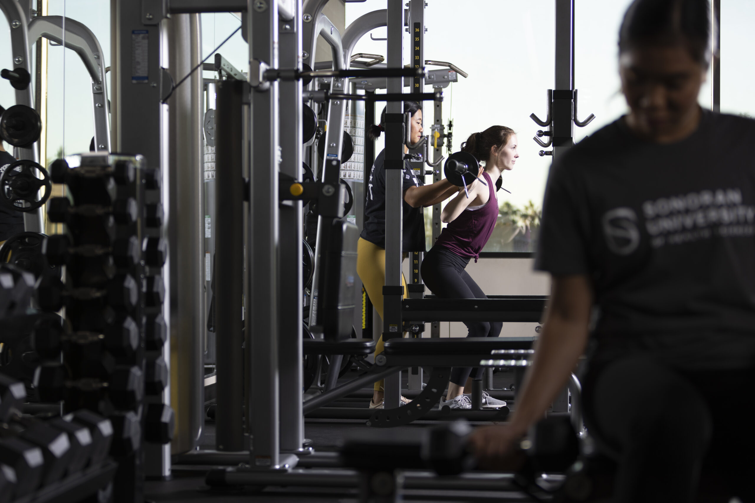 People working out in a gym