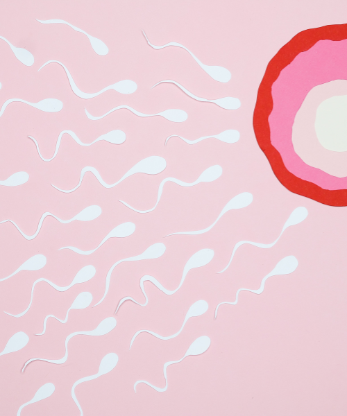 Artistic illustration of sperm cells approaching egg cell on pink background